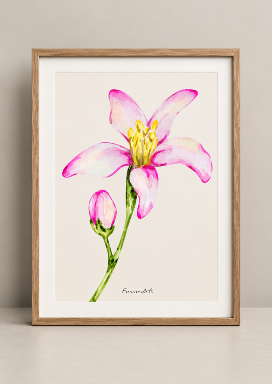 [product_title] - [product_type] | Funoun Arts