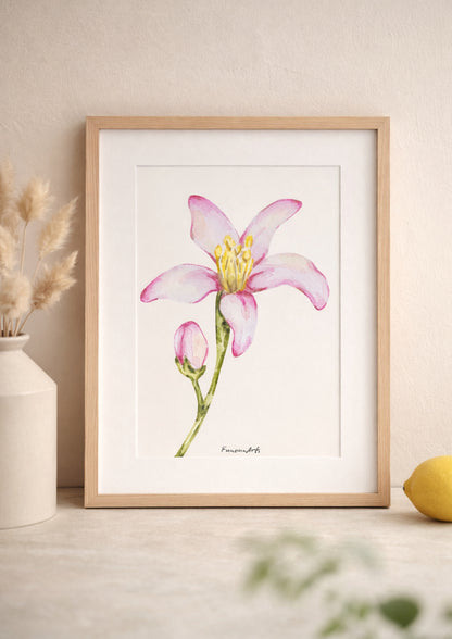 [product_title] - [product_type] | Funoun Arts