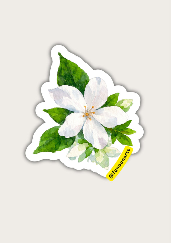 [product_title] - [product_type] | Funoun Arts